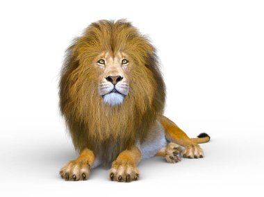 Aslanın 3d CG sunumu