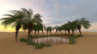 Vaha 'nın 3B canlandırması