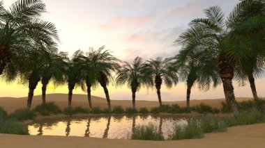 Vaha 'nın 3B canlandırması