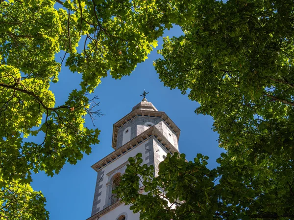 Berrak mavi gökyüzüne karşı yemyeşil ağaçlar tarafından çerçevelenmiş bir kilise kulesi..