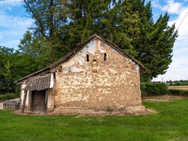 Beltinci, Slovenya - 24 Temmuz 2025: yemyeşil ve mavi gökyüzü altındaki ağaçlarla çevrili.