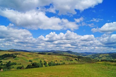 Güneşli bir yaz gününde Karpat dağlarının, yeşil ormanların ve çiçekli çayırların panoramik manzarası