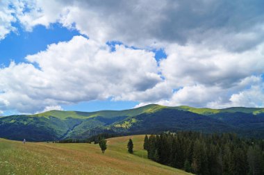 Güneşli bir yaz gününde Karpat dağlarının, yeşil ormanların ve çiçekli çayırların panoramik manzarası
