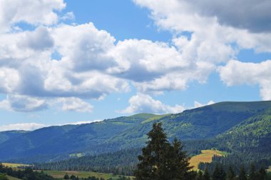 Güneşli bir yaz gününde Karpat dağlarının, yeşil ormanların ve çiçekli çayırların panoramik manzarası