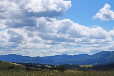 Güneşli bir yaz gününde Karpat dağlarının, yeşil ormanların ve çiçekli çayırların panoramik manzarası