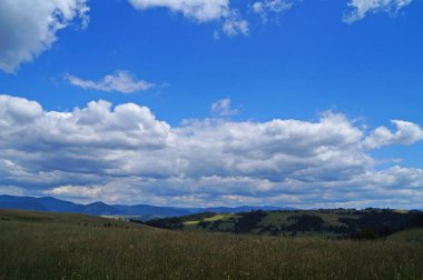 Güneşli bir yaz gününde Karpat dağlarının, yeşil ormanların ve çiçekli çayırların panoramik manzarası