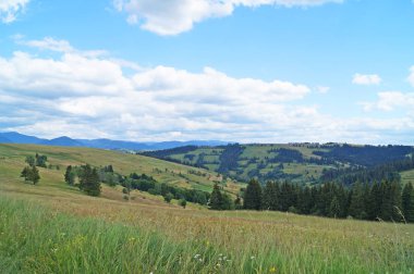 Güneşli bir yaz gününde Karpat dağlarının, yeşil ormanların ve çiçekli çayırların panoramik manzarası