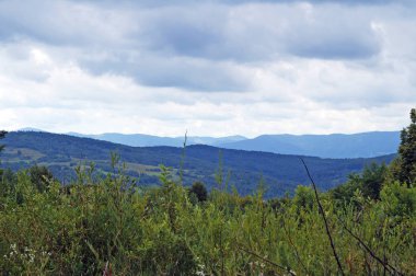 Güneşli bir yaz gününde Karpat dağlarının, yeşil ormanların ve çiçekli çayırların panoramik manzarası