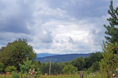 Güneşli bir yaz gününde Karpat dağlarının, yeşil ormanların ve çiçekli çayırların panoramik manzarası