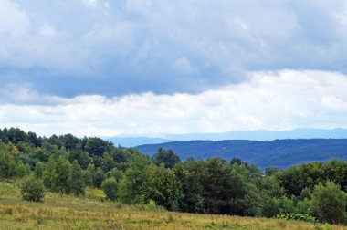 Güneşli bir yaz gününde Karpat dağlarının, yeşil ormanların ve çiçekli çayırların panoramik manzarası