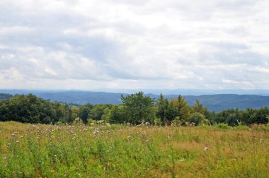 Güneşli bir yaz gününde Karpat dağlarının, yeşil ormanların ve çiçekli çayırların panoramik manzarası
