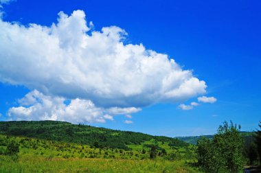Güneşli bir yaz gününde Karpat dağlarının, yeşil ormanların ve çiçekli çayırların panoramik manzarası