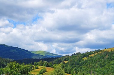 Güneşli bir yaz gününde Karpat dağlarının, yeşil ormanların ve çiçekli çayırların panoramik manzarası