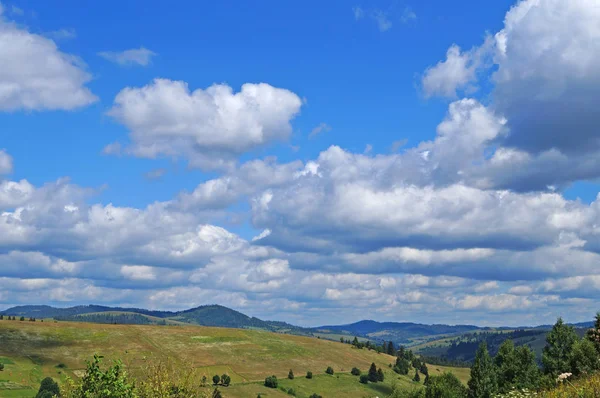 Panoramatický Pohled Karpatské Hory Zelené Lesy Kvetoucí Louky Slunného Letního — Stock fotografie