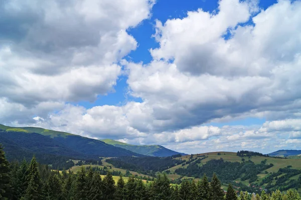 Panoramautsikt Över Karpaterna Gröna Skogar Och Blommande Ängar Solig Sommardag — Stockfoto