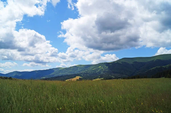 Panoramatický Pohled Karpatské Hory Zelené Lesy Kvetoucí Louky Slunného Letního — Stock fotografie