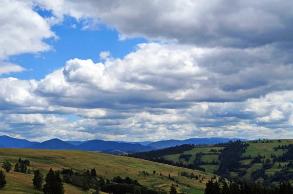 Blick Auf Die Karpaten Grüne Wälder Und Blühende Wiesen Einem — Stockfoto