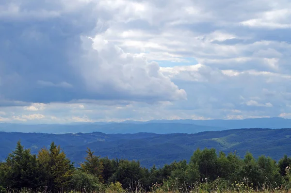 Vista Panorámica Las Montañas Los Cárpatos Bosques Verdes Prados Florecientes — Foto de Stock