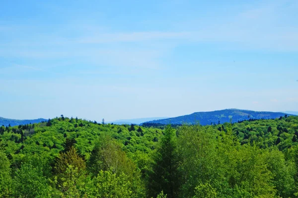 Vista Panorámica Las Montañas Los Cárpatos Bosques Verdes Prados Florecientes — Foto de Stock
