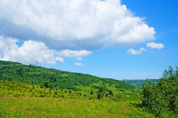 Vista Panorámica Las Montañas Los Cárpatos Bosques Verdes Prados Florecientes —  Fotos de Stock