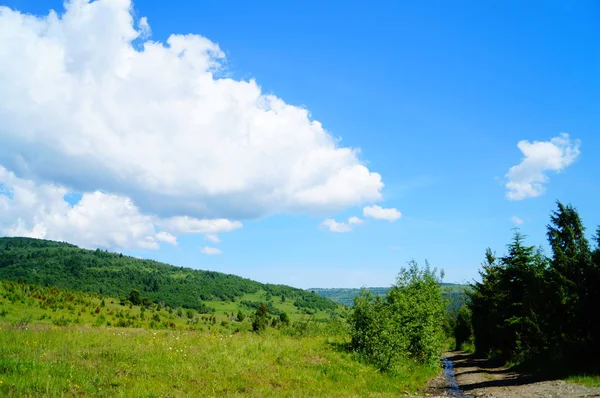 Vista Panorámica Las Montañas Los Cárpatos Bosques Verdes Prados Florecientes — Foto de Stock