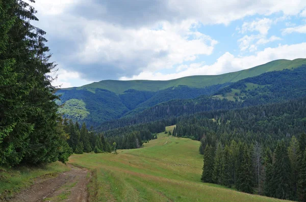 Blick Auf Die Karpaten Grüne Wälder Und Blühende Wiesen Einem — Stockfoto