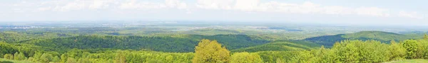 Vista Panorámica Las Montañas Los Cárpatos Bosques Verdes Prados Florecientes —  Fotos de Stock