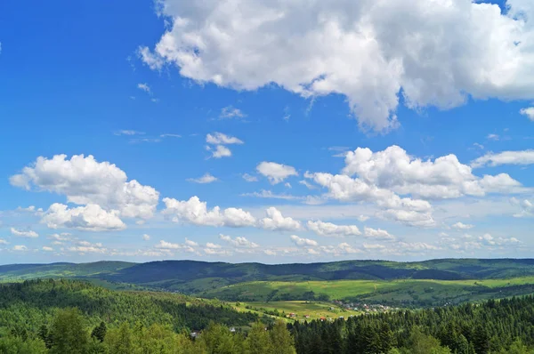 Panoramatický Pohled Karpatské Hory Zelené Lesy Kvetoucí Louky Slunného Letního — Stock fotografie