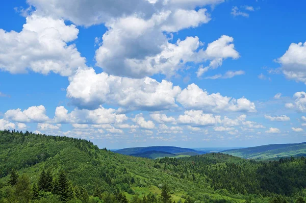 Vista Panorámica Las Montañas Los Cárpatos Bosques Verdes Prados Florecientes — Foto de Stock