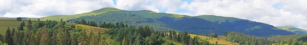 Panoramic View Carpathian Mountains Green Forests Flowering Meadows Sunny Summer — Stock Photo, Image