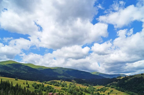 Vista Panorámica Las Montañas Los Cárpatos Bosques Verdes Prados Florecientes —  Fotos de Stock