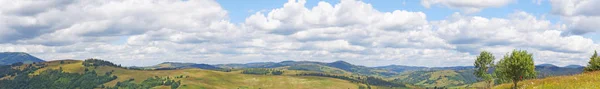 Panoramic View Carpathian Mountains Green Forests Flowering Meadows Sunny Summer — Stock Photo, Image