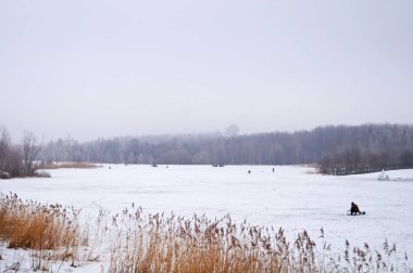 Donmuş gölün soğuk ve bulutlu bir günde kış ormanları ile çevrili görünümü