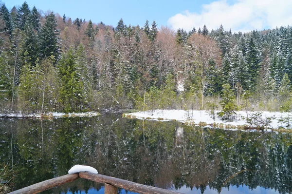 Горное Озеро Окруженное Хвойным Лесом Покрытым Белым Снегом Солнечный Весенний — стоковое фото