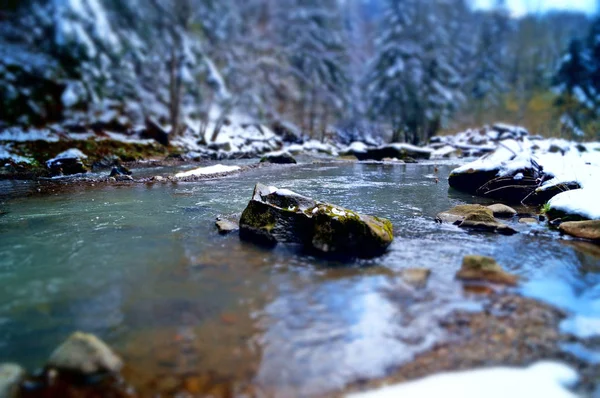 Güneşli bir bahar gününde beyaz karla kaplı iğne yapraklı ormanlarla çevrili dağ taşlı nehir