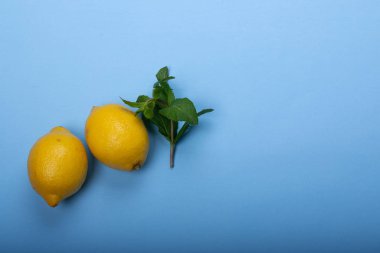 mavi zemin üzerine nane ile taze limon.