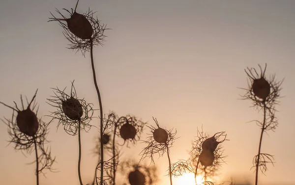 bir şelale ile güzel doğa