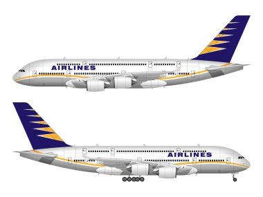 gerçekçi yolcu uçağı. yan görünüm.