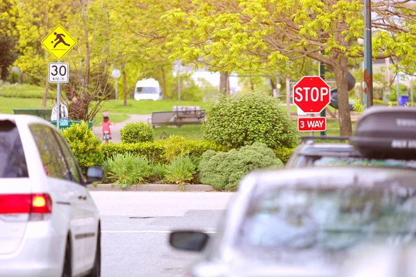 the image of 3-way stop sign city park