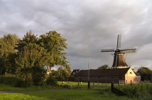 Windmill Feanster Moune — Stock Photo, Image