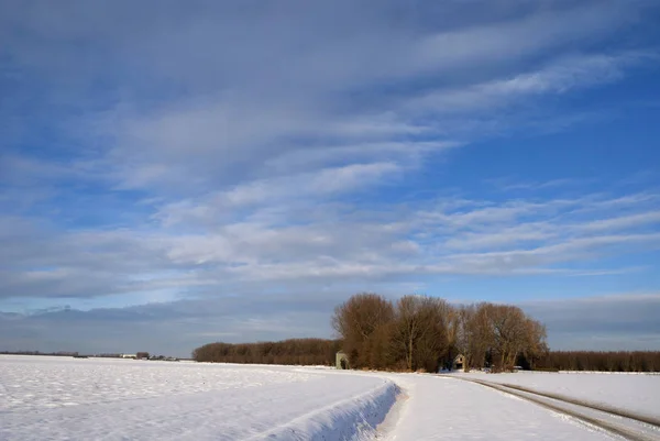 Winterlandschaft im Biesbosch — Stockfoto