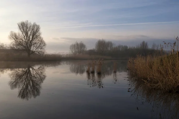 Nature along the A6 highway — Stock Photo, Image