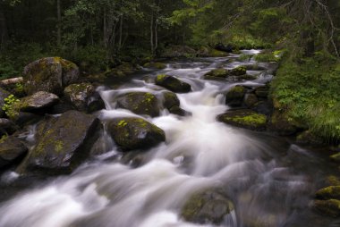 Tefafallet şelale yakınındaki Ljusnedal