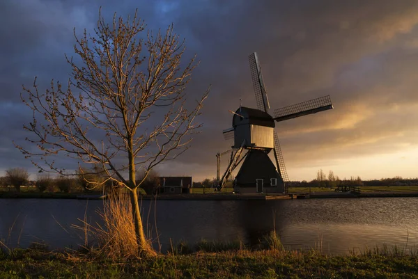 Akşam ışığı, doğal