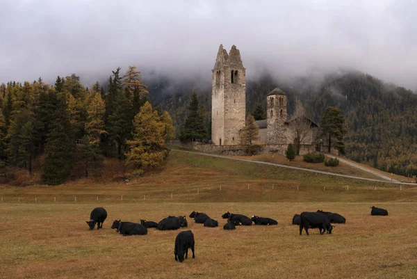 Celerina yakınındaki San Gian Kilisesi