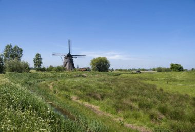 Yel değirmeni Oostzijdse Molen