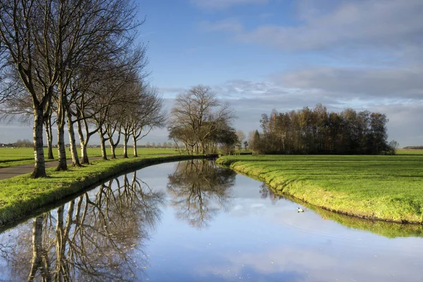 Árboles reflejándose en un estanque — Foto de Stock