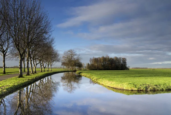 Árboles reflejándose en un estanque — Foto de Stock