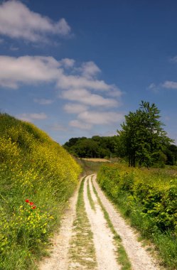 Eyserbos 'a doğru giden yol