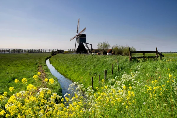 Vindmøllen Wingerdse – stockfoto